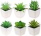 6-Pack Artificial Succulent Plants in Pots – Realistic Mini Aloe & Lotus Fake Bonsai Decor for Home, Bathroom, Bedroom, Windowsill, Office & Indoor Decoration